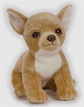 CUCCIOLO CHIHUAHUA CM 26