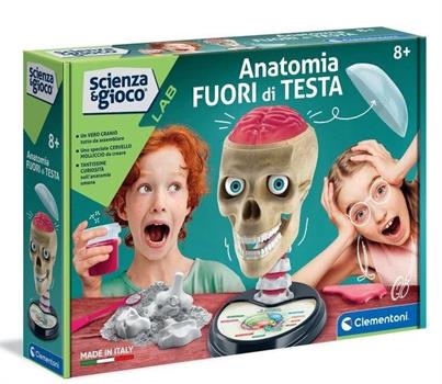 ANATOMIA FUORI DI TESTA