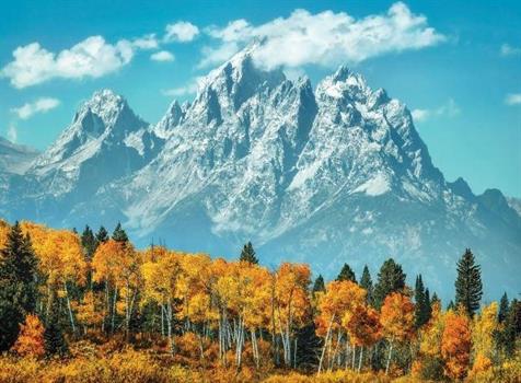 500 PZ GRAND TETON IN FALL