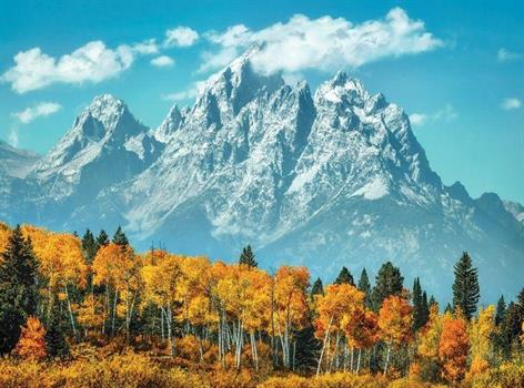 1000 PZ GRAND TETON IN FALL