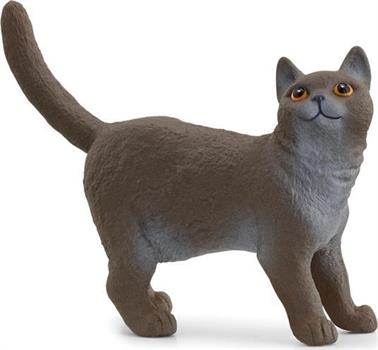 GATTO BRITISH SHORTHAIR