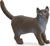 GATTO BRITISH SHORTHAIR