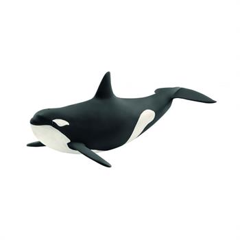 ORCA 2024