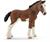 PULEDRO CLYDESDALE