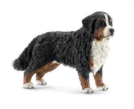 BOVARO BERNESE FEMMINA