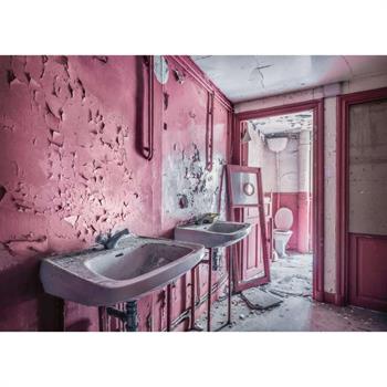 1000 PZ LOST PLACES PINK DREAMS