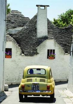 1000 PZ ALBEROBELLO