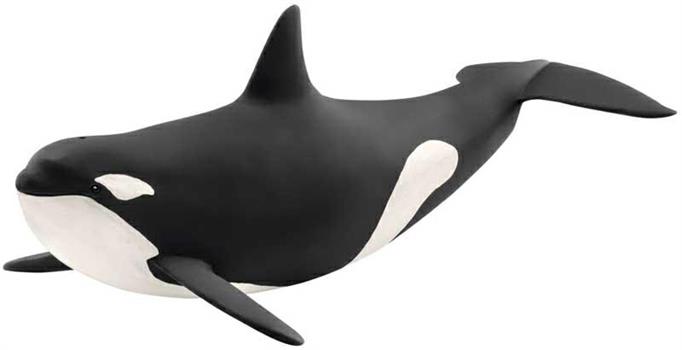 ORCA