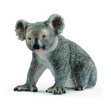 KOALA