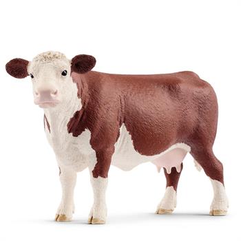 MUCCA HEREFORD