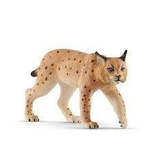 LINCE