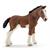 PULEDRO CLYDESDALE