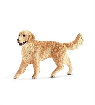 GOLDEN RETRIEVER FEMMINA