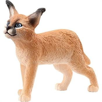 CUCCIOLO DI CARACAL